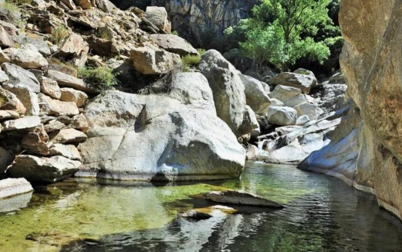 Palmeraie102 Sari-Solenzara Dış mekan fotoğraf